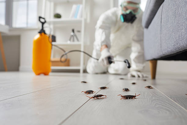 Trusted Cockroach Control service in South Euclid, OH - Nex Pest Control